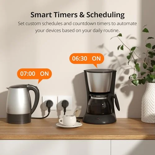 SONOFF S60 ZigBee Akıllı Priz | S60ZB
